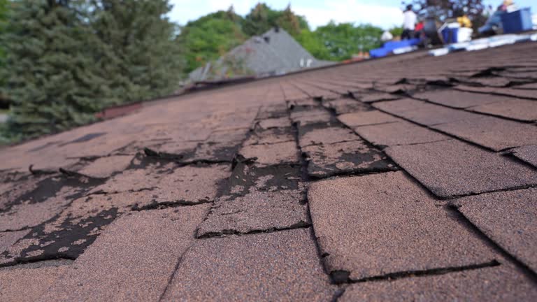 Best Roof Maintenance and Cleaning  in St Jaco, IL