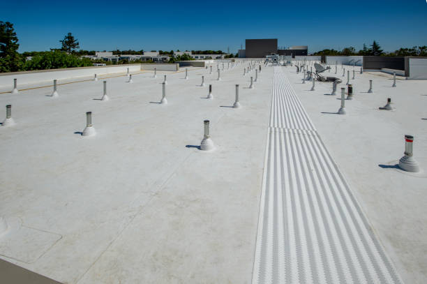 Best Asphalt Shingles Roofing  in St Jaco, IL